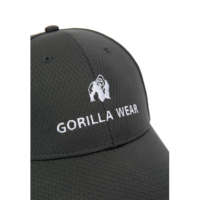 Кепка Bristol Fitted Cap от Gorilla Wear
