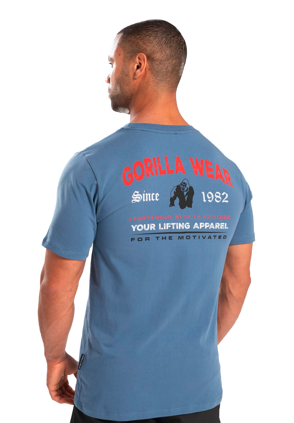 Футболка Warren T-Shirt - Coronet Blue от Gorilla Wear